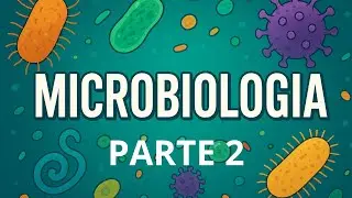 MICROBIOLOGIA - ESTRUTURA BACTERIANA