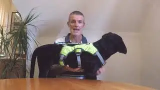 Running Dog Harness Review - Wiggles and Wags harness for running hiking and no escape