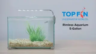 Аквариум Top Fin Rimless &mdash; установка на 5 галлонов | YouTube