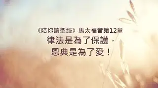馬太福音12章/陪你讀聖經《律法是為了保護，恩典是為了愛！》