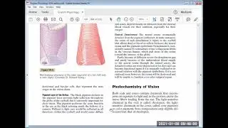 RETINA , RODS AND CONES ; VISUAL CYCLE , RETINAL , ,VITAMIN A , 8-1-21 , / BY PROF AFZAL