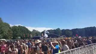 Chet Porter Electric Forest