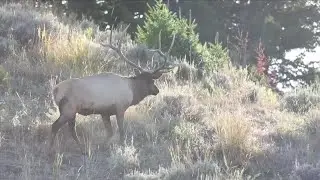 This Week in Fish and Wildlife: General hunting season kicks off soon