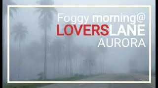 Foggy morning Adventure