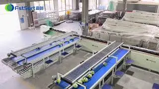 Cabbage coconut pomelo electronic weighing, sorting and packaging line vegetable grading machine