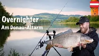 ***Overnighter am Donau-Altarm***