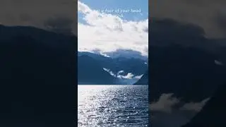 Bible | Luke 21:18 | But not a hair of your head wi...