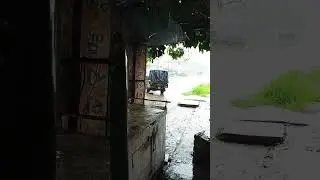 14 June ti tip barsa pani #watersaver #water #rainyday #youtubeshorts #youtubeshorts