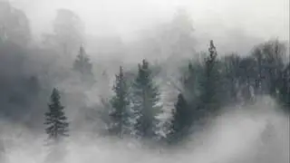 Kvist - Vettenetter (Demo Version)