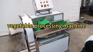 Vegetable Cutting Machine Automatic Vegetable Cutter Commercial Veg Cutter