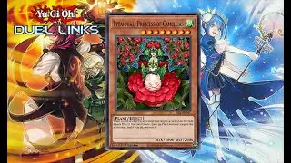 F2P Aromage ft. Tytannial, Princess of Camellias. Trying to protect my cards! [Yu-Gi-Oh! Duel Links]
