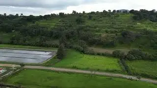 DJI Love aside