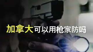 家防话题：加拿大可否用枪家防？