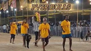 చిలకలూరిపేట సబ్ జూనియర్స్ 6వ PVSR BULLS బల్లికురవ గ్రామం బాపట్ల జిల్లా..