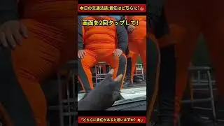 【AI交通法廷】荷台の重圧でフラつくトラック。追突事故の責任は、不安定な積載か、車間距離か？⚖️ #ai