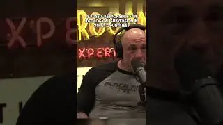 Joe Rogan talks about Political Subversion in USA and other western countries