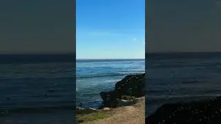 Lots of Bubbles