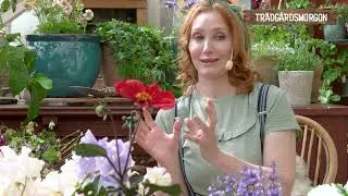 Färglära för insekter och odlare
