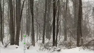 LIVE Winter Overnight - Relaxing Overnight Winter Scene Ambience