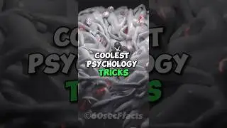 Coolest Psychology Tricks #curiosity  #randomfacts  #learnontiktok  #psychologyfacts  #facts