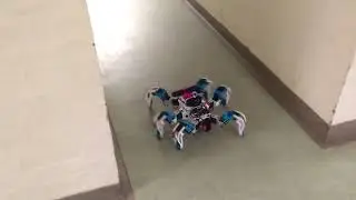 Hopper random hallway video