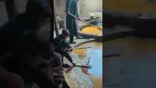 Wait For End❤️! Fresh Jaggery Made from Sugarcane Juice 🍯|| Traditional Desi Process.