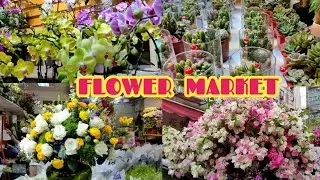 MONGKOK FLOWERS MARKET TOUR
