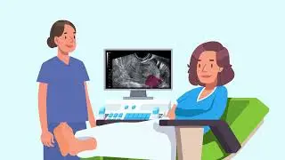 HSE - Анимационное видео