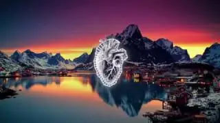 Motion Graphics Reel 2017