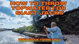 HOW TO CATCH GIANT JACK ON TOPWATER