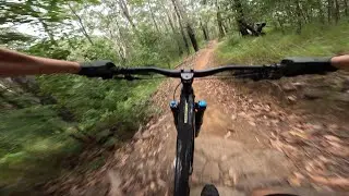 Trailblazer | The BEST MTB Trail in Queensland?