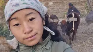 किसान को छोराछोरी भएसी yattikotw hunuparyo 😖😣