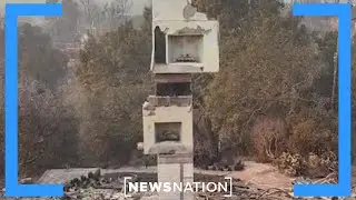 Newsom pauses environmental laws to &lsquo;fast-track&rsquo; wildfire prevention | NewsNation Now