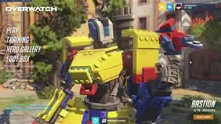New Bastion skin?