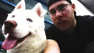 TAKING MY PUPPY ON A PLANE TO MIAMI!