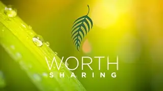 The Leaf and Drop | A Symbol of Wellness Powered by Nature