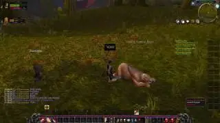 Elysium Vanilla WoW Leveling