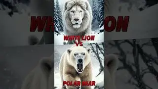 White Lion vs Polar Bear (yeti, gorilla, grizzly,.....)
