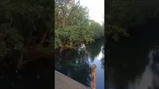Spend time out in nature