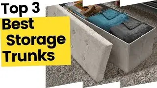 Best Storage Trunks for a Stylish, Organized Home in 2023