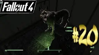 Fallout 4 на GTX 560 Ti(1Gb) Прохождение #20
