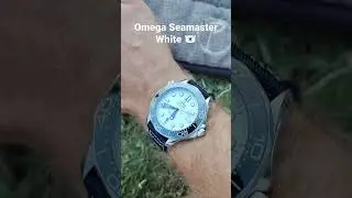 Omega Seamaster 300m white polar dial wristshot