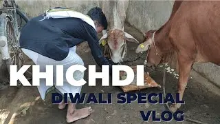 KHICHDI, DIWALI SPECIAL ll VLOG-37 ll D.J.WANDERER ll DEEPAK JURRY #djwanderer #ytvlogs #cgvlog