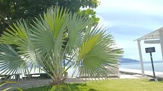 Reconnect Private Island, Pulau Buka Buka, Sulawesi Tengah