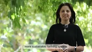 Introducing the ABC approach - Lebanese model