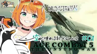 【初見配信/エースコンバット5】今度は個々の空を飛ぶ！概要欄確認オナシャス！#01【源ニコ/PYGOSCELIS+】