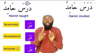 Arabic Verbs in This Pattern Will Help You Speak Professionally
