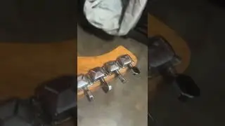 ReDemption Music Works. Guitars. &ldquo;Pearl&rdquo;. Roughly 1989 Hondo H76 Stratocaster copy. GFS Gold Foil PU