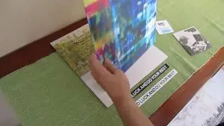 Gold Panda - Good Luck and Do Your Best Vinyl (aka best inner sleeve ever)