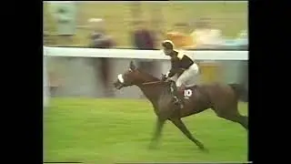 1971 King George VI & Queen Elizabeth Diamond Stakes Mill Reef